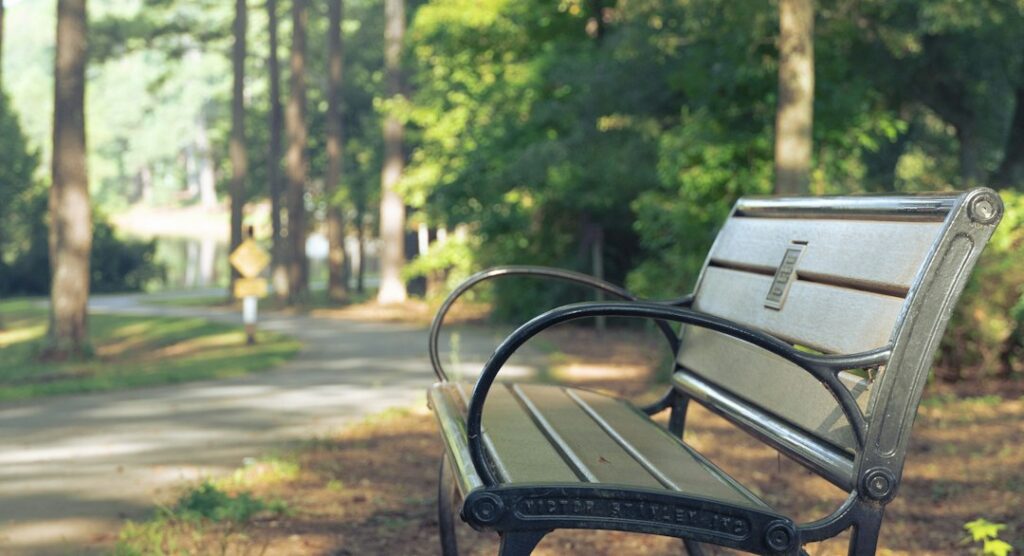 An empty park bench beside a tree-lined path.