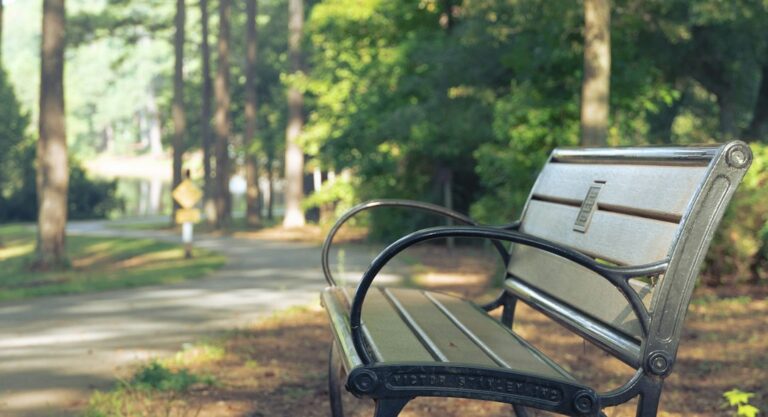 An empty park bench beside a tree-lined path.